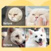 HICC PET Eyes Wipes for Dogs & Cats - Gently Remove Tear Stain, Debris, Discharge, Crust - Coconut Oil Pet Cleaning Grooming Deodorizing Wipes Wash Cleaner for Eyes, Wrinkle, Face - 100pcs - Image 3