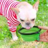 Dog Bowl Pet Collapsible Bowls, 2 Pack for Cats Dogs, Portable Pet Feeding Watering Dish for Walking Parking Traveling with 2 Carabiners (Small, Blue+Green) - Image 4