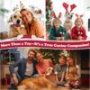 Tough Dog Toys, Toys for Aggressive Chewers Large Breed, Chew Dogs, Bone Toy Nylon Dogs Almost Indestructible - Image 5