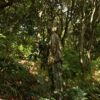 Ginsco Ghillie Suit Full Face Mask Gloves Set, Ghillie Suit for Men, 3D Leafy Camo Suit for Outdoor Hunting Photography - Image 5