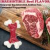 Tough Dog Toys, Toys for Aggressive Chewers Large Breed, Chew Dogs, Bone Toy Nylon Dogs Almost Indestructible - Image 4