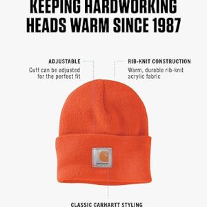 FURTALK Beanie for Men Women Cuffed Thick Knitted Unisex Winter Hat Beanies Skull Cap