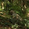 Ginsco Ghillie Suit Full Face Mask Gloves Set, 3D Leafy Camo Suit for Men, Outdoor Hunting Photography - Image 3