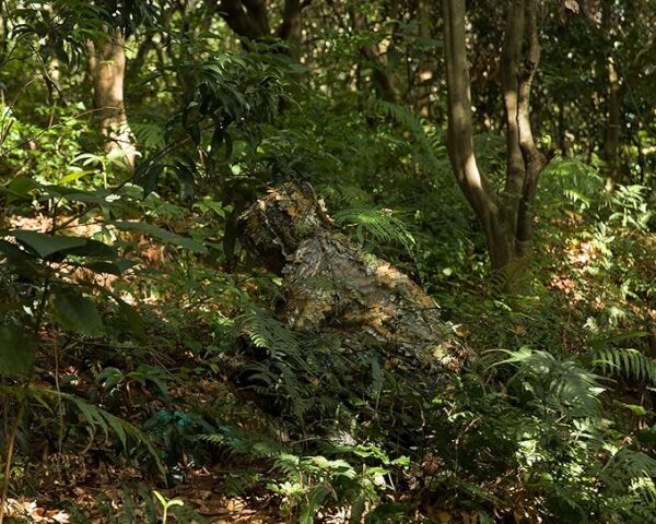 Ginsco Ghillie Suit Full Face Mask Gloves Set, 3D Leafy Camo Suit for Men, Outdoor Hunting Photography - Image 3