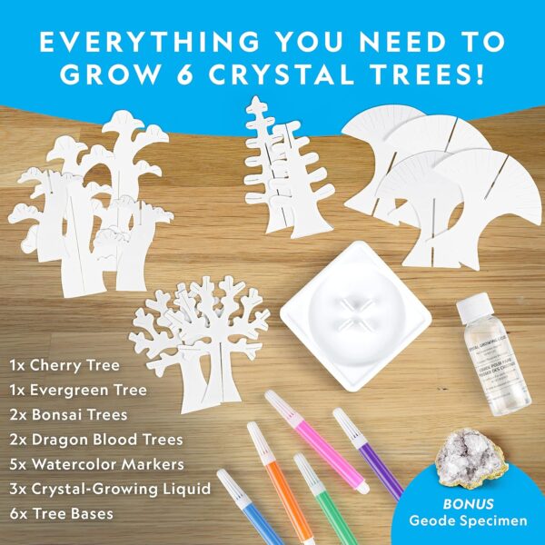 National Geographic Craft Kits for Kids - Crystal Growing Kit, Grow 6 Crystal Trees in Just 6 Hours, Educational Craft Kit with Art Supplies, Geode Specimen, STEM Arts & Crafts Kit (Amazon Exclusive) - Image 5