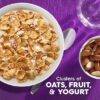 Kellogg's Special K Breakfast Cereal, Family Breakfast, Fiber Cereal, Large Size, Fruit and Yogurt, 17.1oz Box (1 Box) - Image 2