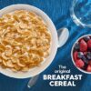 Kellogg's Special K Breakfast Cereal, Family Breakfast, Fiber Cereal, Large Size, Original, 12oz Box (1 Box) - Image 2