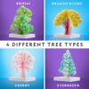 National Geographic Craft Kits for Kids - Crystal Growing Kit, Grow 6 Crystal Trees in Just 6 Hours, Educational Craft Kit with Art Supplies, Geode Specimen, STEM Arts & Crafts Kit (Amazon Exclusive) - Image 4