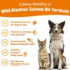 Zesty Paws Wild Alaskan Omega-3 Blend Pollock + Salmon Oil for Dogs and Cats- Skin and Coat Support, Omega 3 Supplement for Pets, 32oz - Image 3