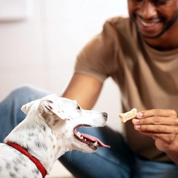 Milk-Bone Original Dog Treats Biscuits for Medium Dogs, 24 Ounces (Packaging May Vary) - Image 4
