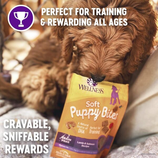 Wellness Puppy Treats, Natural, Training Treat, Grain Free, Soft Lamb & Salmon (3 Ounce bag)