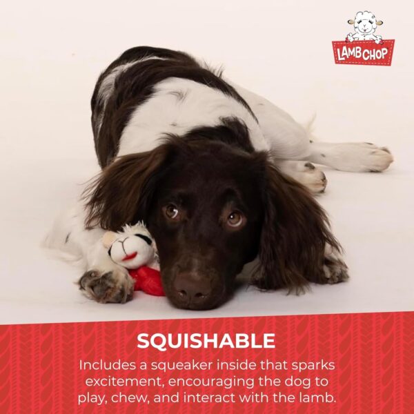 Multipet Lamb Chop Dog Plush Toy - Squeaky Toy for All Dogs - Extra Soft Plush - Stuffed Animal Dog Toy for Cuddling & Playing - Cute Pet Toy (6", Cream) - Image 2